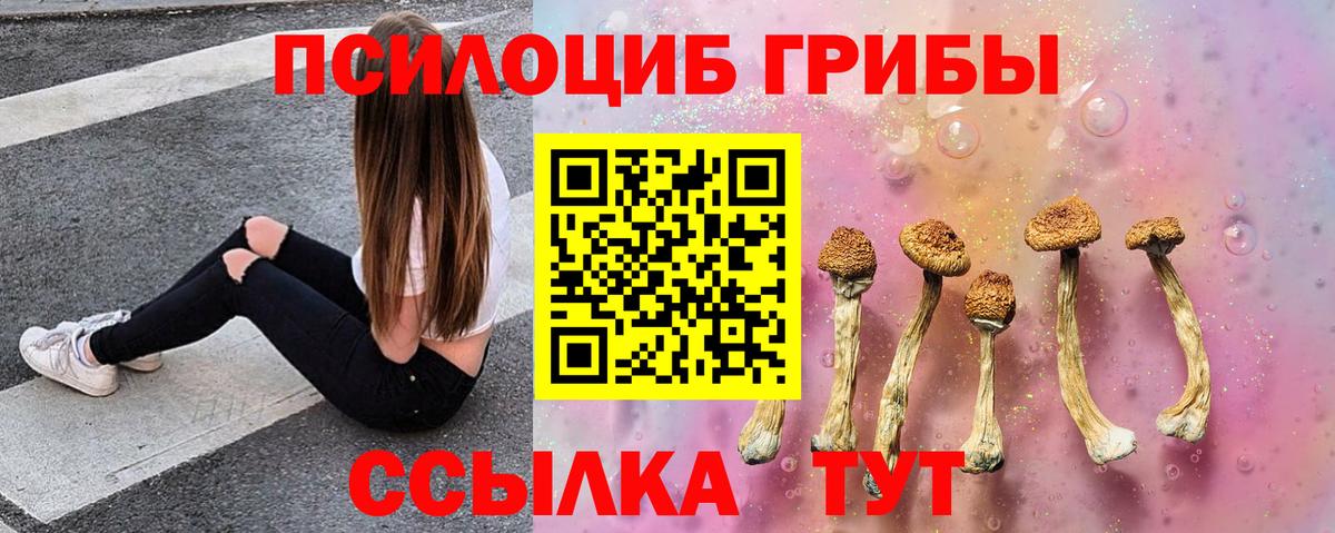 Псилоцибиновые грибы Psilocybe Стрежевой