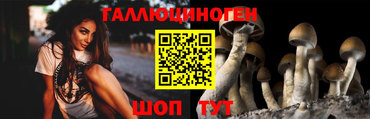 Галлюциногенные грибы прущие грибы  Галлюциногенные грибы Cubensis  Стрежевой  Вход с VPN 